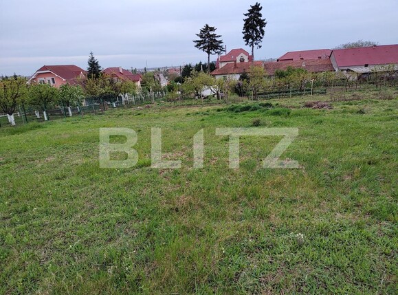 Teren de vânzare Oncea - 138428TV | BLITZ Oradea | Poza2