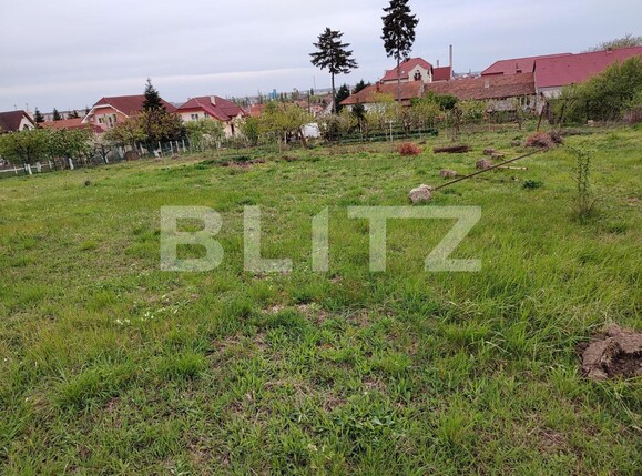 Teren de vânzare Oncea - 138428TV | BLITZ Oradea | Poza3
