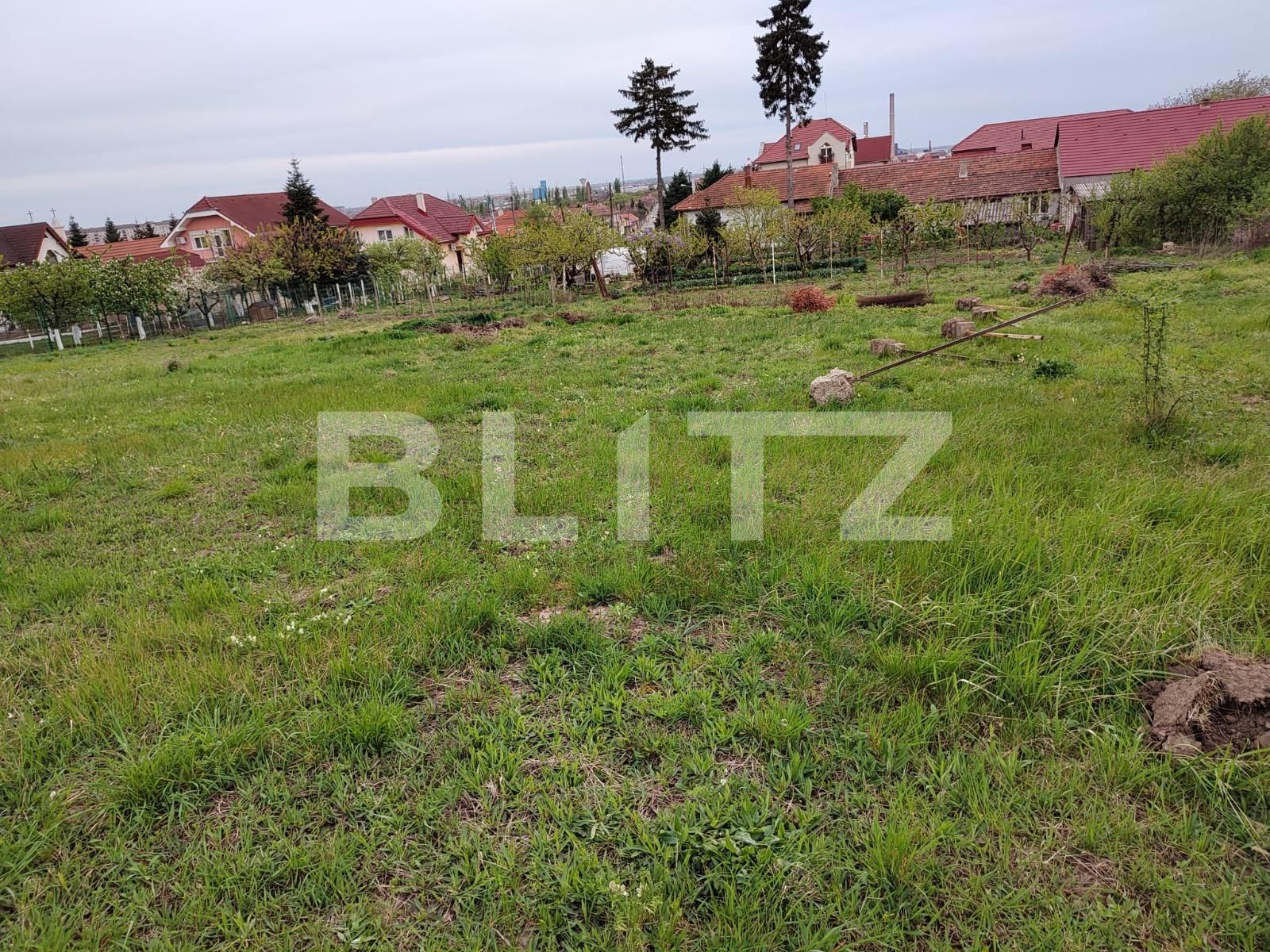 Teren de vânzare Oncea - 138428TV | BLITZ Oradea | Poza3