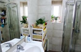 Casa/cladire cu 5 camere, zona Ultracentral, 210mp utili