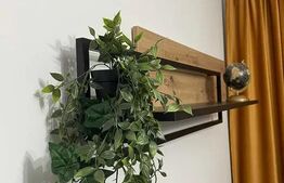 Apartament 2 camere  cu PANORAMA, in Onestilor