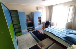 Apartament 1 camera, in CENTRU