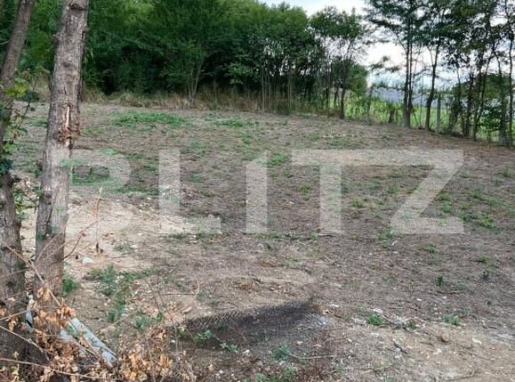 Teren de vânzare Baile 1 Mai - 138776TV | BLITZ Oradea | Poza5