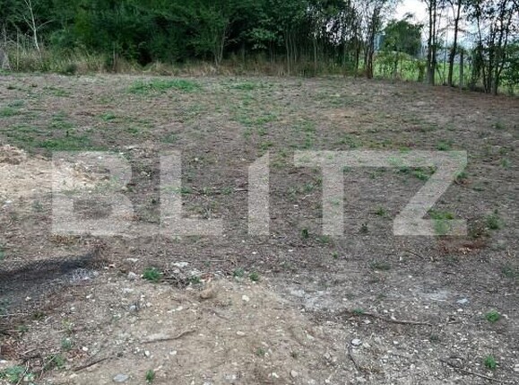 Teren de vânzare Baile 1 Mai - 138776TV | BLITZ Oradea | Poza9