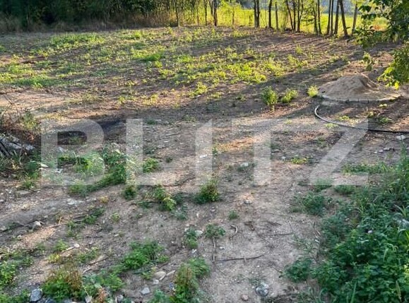 Teren de vânzare Baile 1 Mai - 138776TV | BLITZ Oradea | Poza6