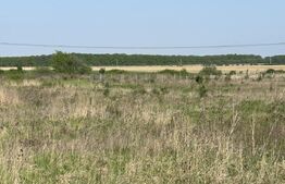 Teren intravilan,  500/900mp, zona Grigorescu 2