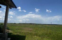 Teren de vânzare Nufarul - 183465TV | BLITZ Oradea | Poza4