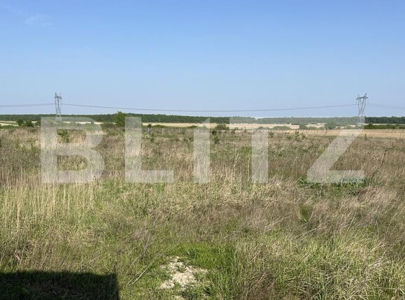 Teren de vânzare Vest - 138811TV | BLITZ Oradea | Poza2