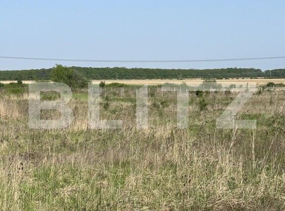 Teren de vânzare Vest - 138811TV | BLITZ Oradea | Poza3