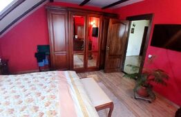 Casa Boema superba pe un domeniu pitoresc in Paleu, 6 camere, 1858mp