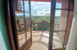 Casa Boema superba pe un domeniu pitoresc in Paleu, 6 camere, 1858mp