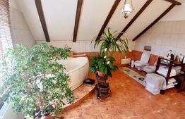 Casa Boema superba pe un domeniu pitoresc in Paleu, 6 camere, 1858mp