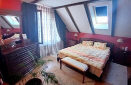 Casa Boema superba pe un domeniu pitoresc in Paleu, 6 camere, 1858mp