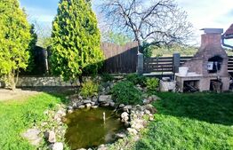 Casa Boema superba pe un domeniu pitoresc in Paleu, 6 camere, 1858mp