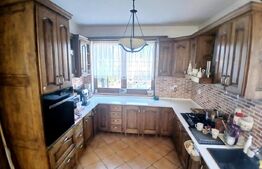 Casa Boema superba pe un domeniu pitoresc in Paleu, 6 camere, 1858mp