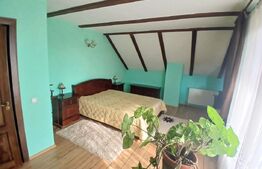 Casa Boema superba pe un domeniu pitoresc in Paleu, 6 camere, 1858mp