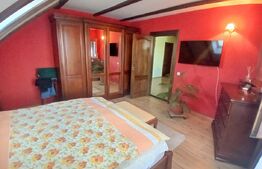 Casa Boema superba pe un domeniu pitoresc in Paleu, 6 camere, 1858mp