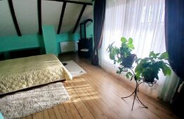 Casa Boema superba pe un domeniu pitoresc in Paleu, 6 camere, 1858mp