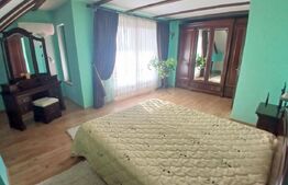 Casa Boema superba pe un domeniu pitoresc in Paleu, 6 camere, 1858mp