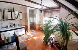 Casa Boema superba pe un domeniu pitoresc in Paleu, 6 camere, 1858mp