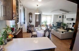 Casa Boema superba pe un domeniu pitoresc in Paleu, 6 camere, 1858mp