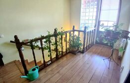 Casa Boema superba pe un domeniu pitoresc in Paleu, 6 camere, 1858mp