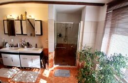 Casa Boema superba pe un domeniu pitoresc in Paleu, 6 camere, 1858mp