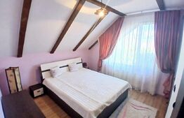 Casa Boema superba pe un domeniu pitoresc in Paleu, 6 camere, 1858mp