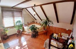 Casa Boema superba pe un domeniu pitoresc in Paleu, 6 camere, 1858mp