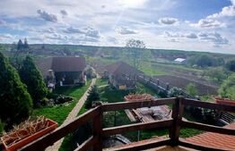 Casa Boema superba pe un domeniu pitoresc in Paleu, 6 camere, 1858mp