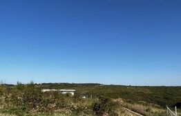 Teren, 2100mp , zona Podgoria lângă Hanul Pescarilor 