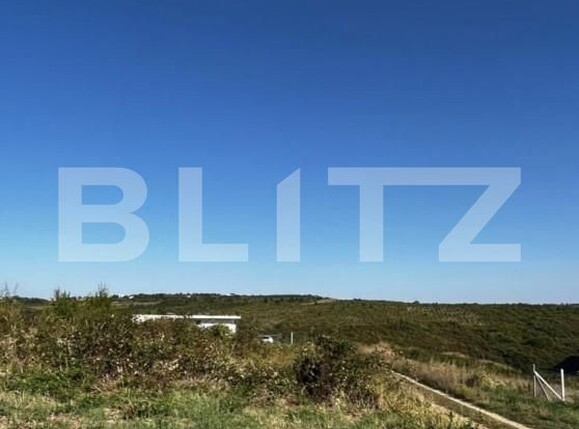 Teren de vânzare Podgoria - 138856TV | BLITZ Oradea | Poza3