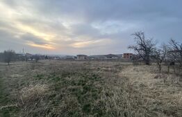 Teren, 750mp, zona Oncea