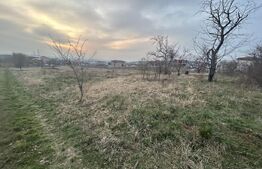 Teren, 750mp, zona Oncea