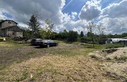 Teren 2010 mp zona Nicolae Iorga