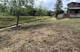 Teren 2010 mp zona Nicolae Iorga