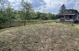 Teren 2010 mp zona Nicolae Iorga