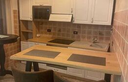 Închiriere Apartament Ultracentral 3 Camere, 110 mp, LUX 