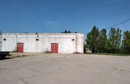 Hala industriala 1000mp cu platforma betonata pe un teren de 16661 mp de vanzare