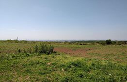 Hala industriala 1000mp cu platforma betonata pe un teren de 16661 mp de vanzare