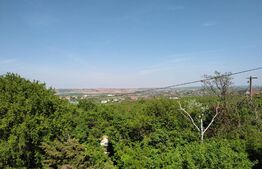 Hala industriala 1000mp cu platforma betonata pe un teren de 16661 mp de vanzare