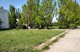 Hala industriala 1000mp cu platforma betonata pe un teren de 16661 mp de vanzare