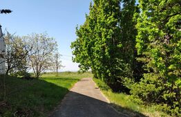 Hala industriala 1000mp cu platforma betonata pe un teren de 16661 mp de vanzare