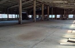 Hala industriala 1000mp cu platforma betonata pe un teren de 16661 mp de vanzare