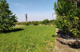 Hala industriala 1000mp cu platforma betonata pe un teren de 16661 mp de vanzare