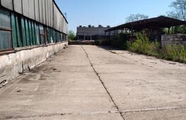 Hala industriala 1000mp cu platforma betonata pe un teren de 16661 mp de vanzare