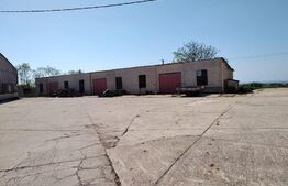 Hala industriala 1000mp cu platforma betonata pe un teren de 16661 mp de vanzare