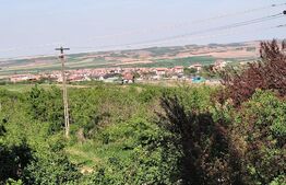 Hala industriala 1000mp cu platforma betonata pe un teren de 16661 mp de vanzare