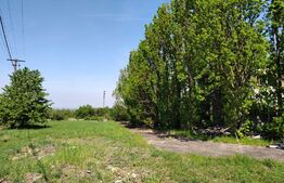 Hala industriala 1000mp cu platforma betonata pe un teren de 16661 mp de vanzare