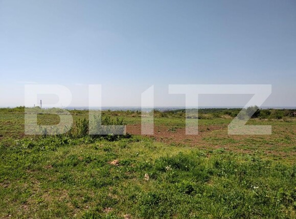 Spațiu industrial de vânzare Oncea - 139310SVI | BLITZ Oradea | Poza14